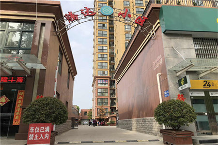 市政府百花园旁羊山中学外小植物园电梯中层满五